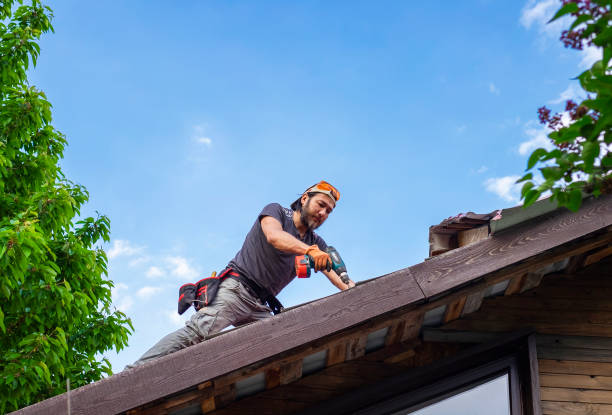 Best Gutter Installation and Repair  in Terre Hill, PA