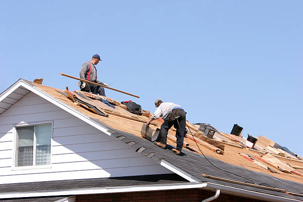 Best Roof Maintenance and Cleaning  in Terre Hill, PA